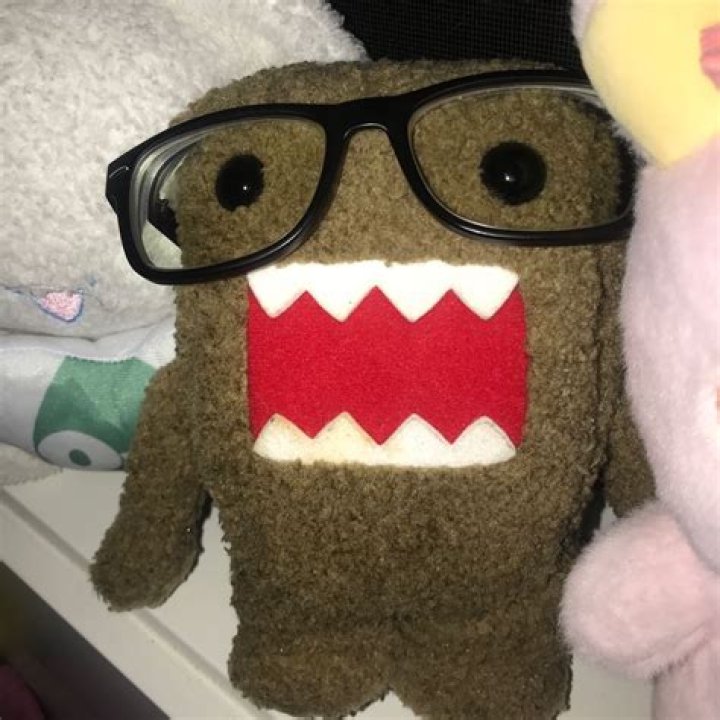 Domo and Danny Phone Number, WhatsApp Number Contact Mobile