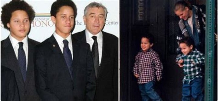 Drena De Niro Net Worth