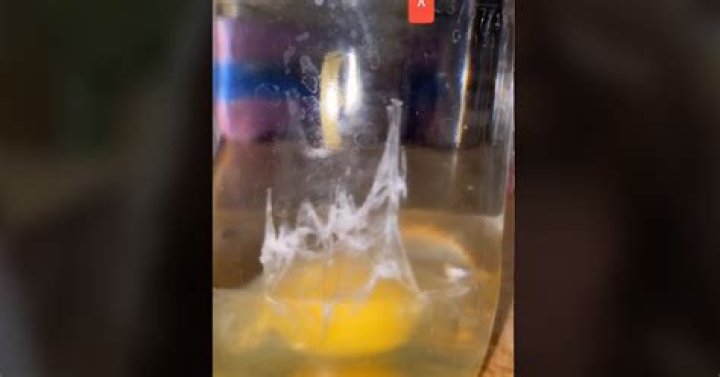 What Is an Egg Cleanse on TikTok? It's About Clearing Negative Energy