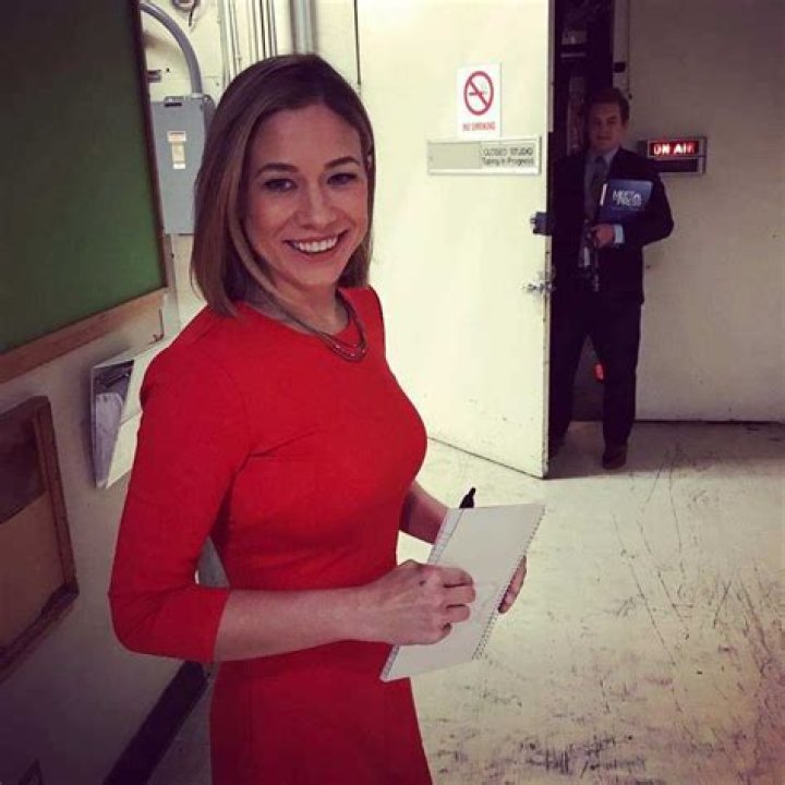 Inside MSNBC Analyst Elise Jordan's Married Life with Second Husband Mike Hogan