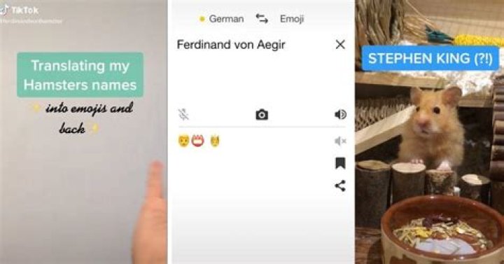 TikTok Is Obsessed With This Emoji Translator's Hilariously Inaccurate Translations