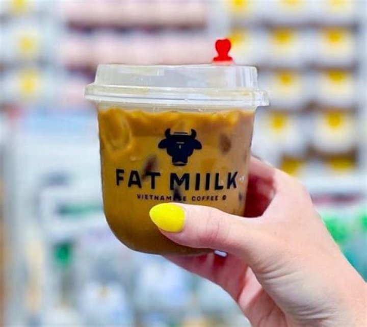 Fat Milk Vietnamese Coffee Net Worth – How Much Is Fat Milk Worth?