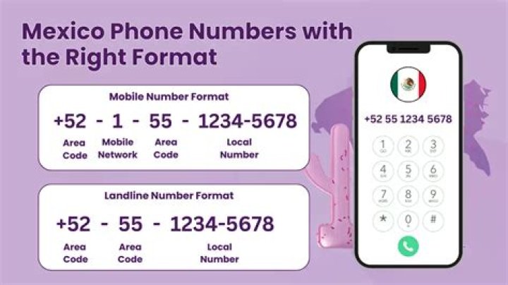 Flashgitz Phone Number, WhatsApp Number Contact Number Mobile