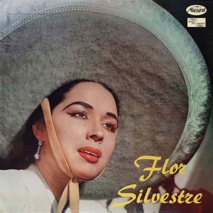 
Ángela Aguilar Net Worth – Besides Music, What Are Her Other Earning Sources?
