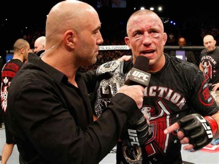 Georges St-Pierre Net Worth – How Much is Georges St-Pierre Worth?