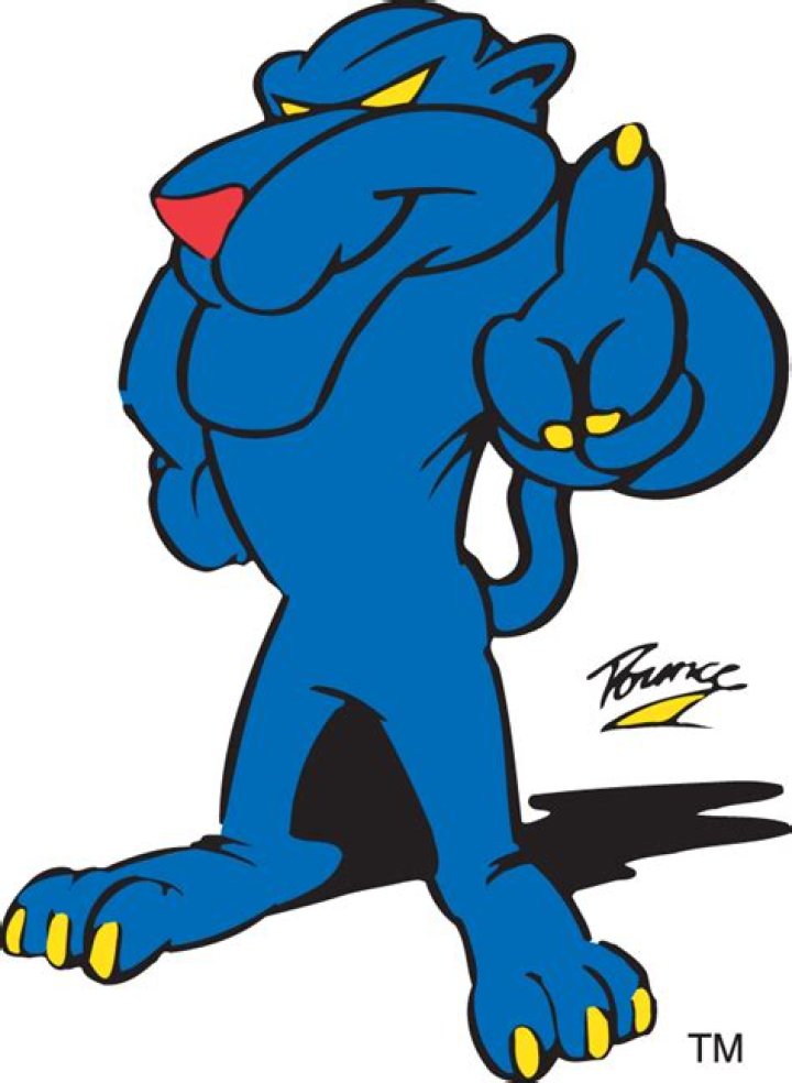 History of the Georgia State Panthers Mascot