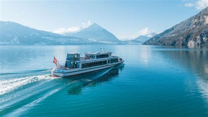 Halit Özgür Sarı Net Worth