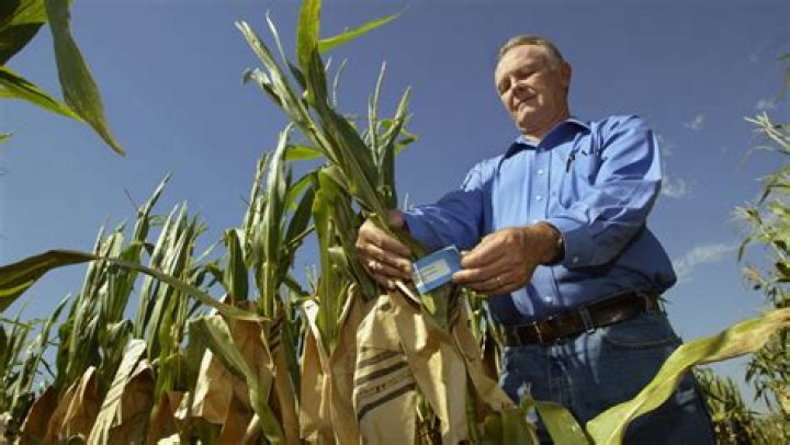 Harry Stine Net Worth – How Much is Stine Worth?