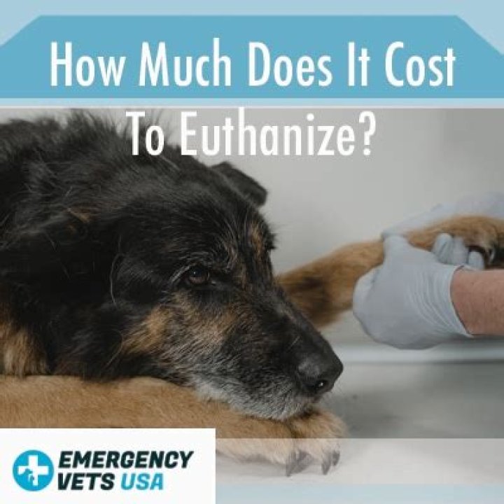 How Much Does It Cost to Euthanize a Dog?