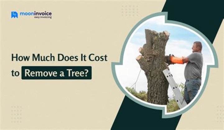 How Much Does It Cost to Remove a Tree?