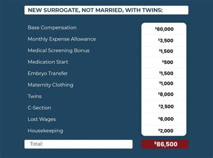 How Much Money Do Surrogates Make?