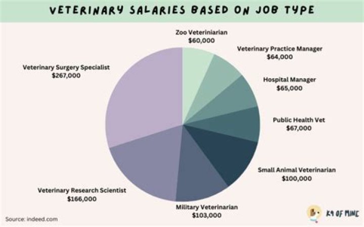 Unveiling the Figures: How Much Money Does a Veterinarian Make?