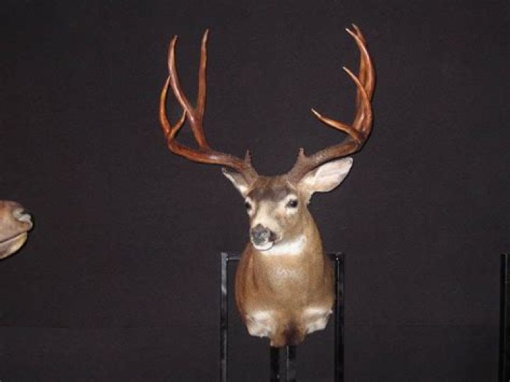 Hunting Washington Forum – List of Hunting Washington Discussions and Forums