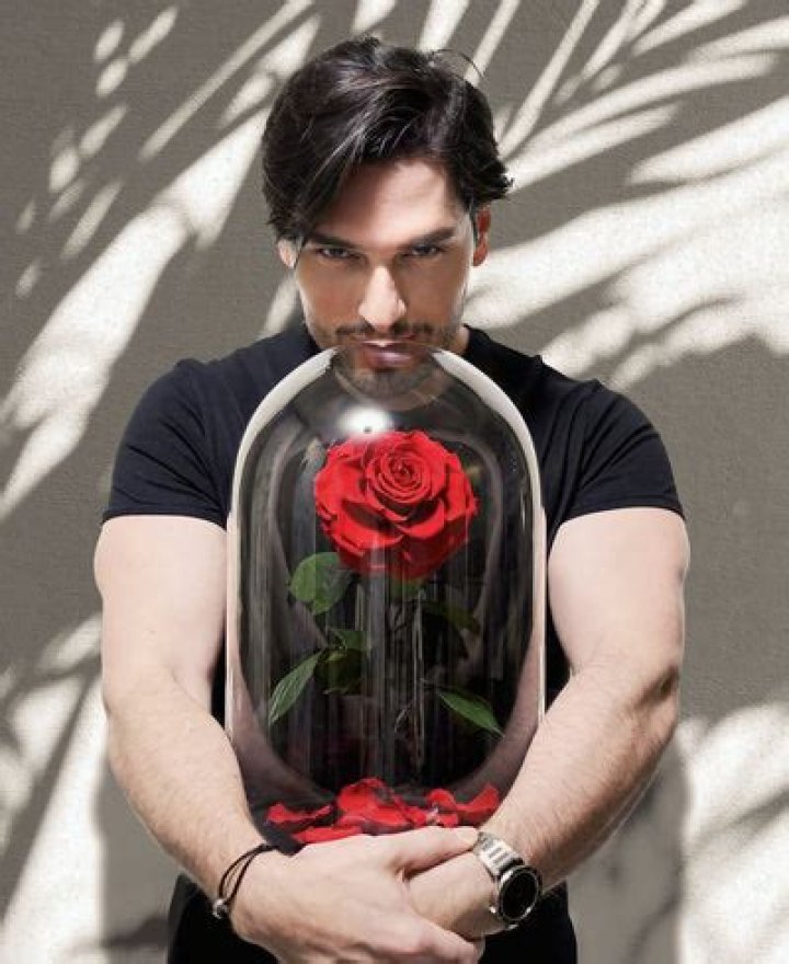 Ebraheem Al Samadi Mother Khadejah, Father Husni Al Samadi And Ethnicity