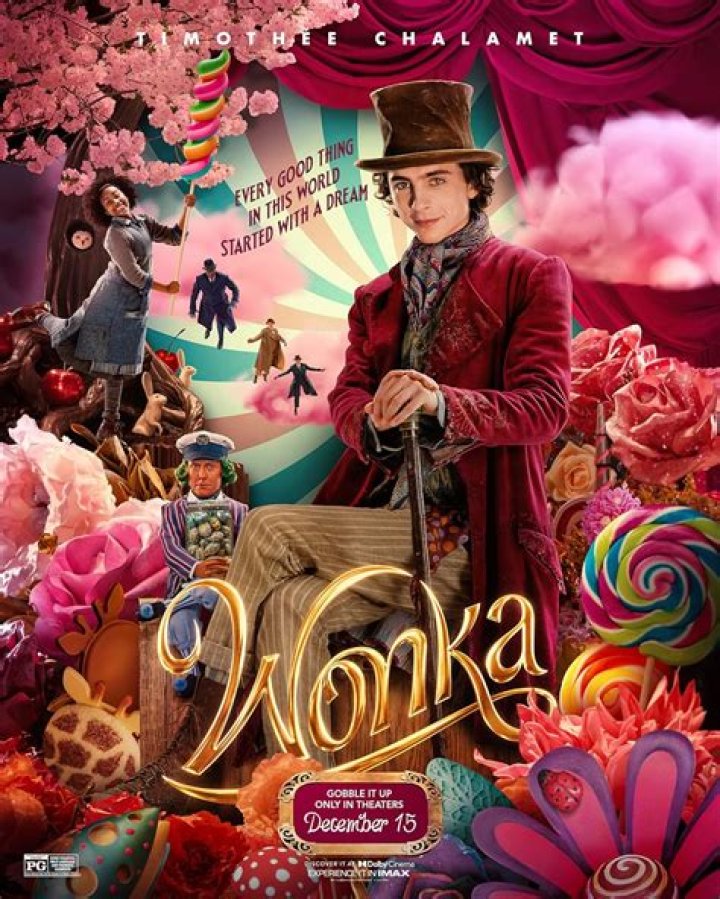 Is Timothée Chalamet's 'Wonka' a Musical? What We Know About the Film