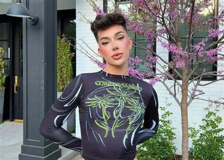 Did James Charles Just Confirm Getting a BBL on TikTok?