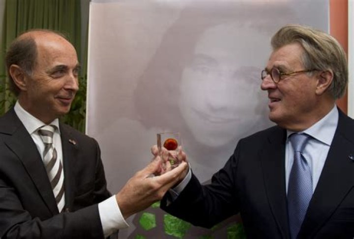 Jeroen Krabbé Net Worth