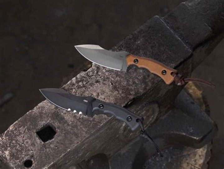 Kaila Cumings Net Worth 2024