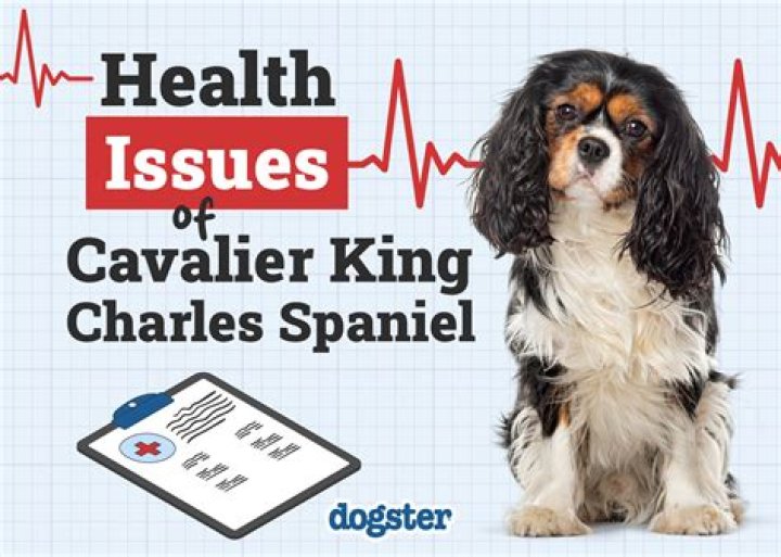 Is King Charles III OK? The Appearance of His Hands Raises Medical Concerns