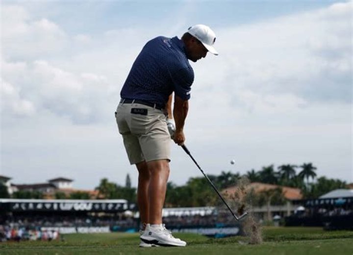 Liz Bryson Net Worth 2024