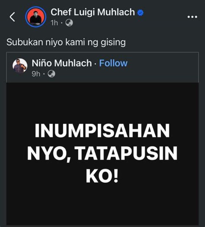 Luigi Muhlach Net Worth