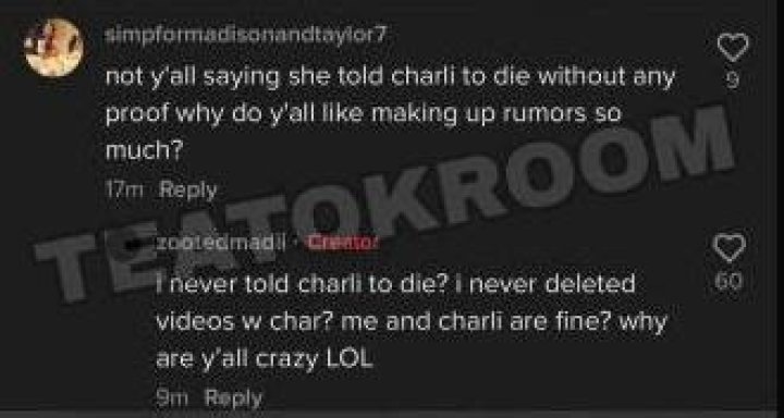 Monroe Clarifies the Drama Rumors - What Really Is The Drama Between Madi Monroe And Charli D’Amelio?