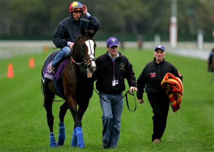 Michael Stoute Net Worth