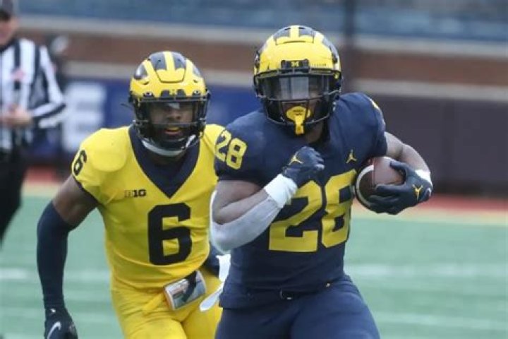 Michigan Football Blogs – Top Michigan Football Blogs and Websites