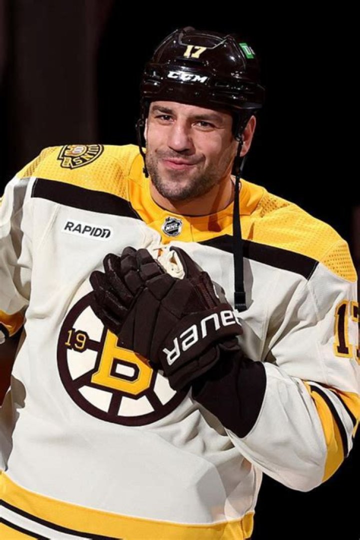 Boston Bruins Milan Lucic Is Facing Charges for Assaulting a Family Member