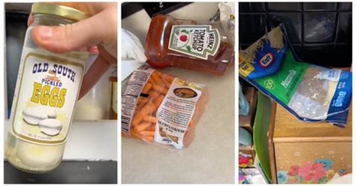 Mom Doesn't Refrigerate Food Items, Leaves TikTok Horrified