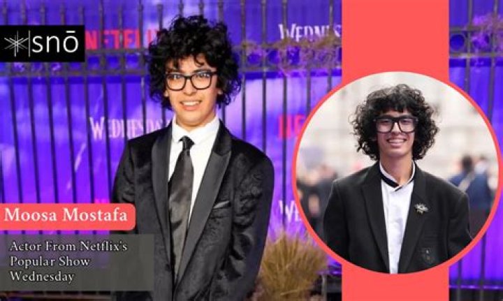 Mostafa Heravi Net Worth