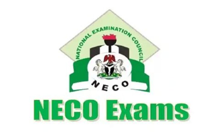 NECO News Today | National Examination Council Rumors and Gossips Daily Updates on Legit.ng — page 2
