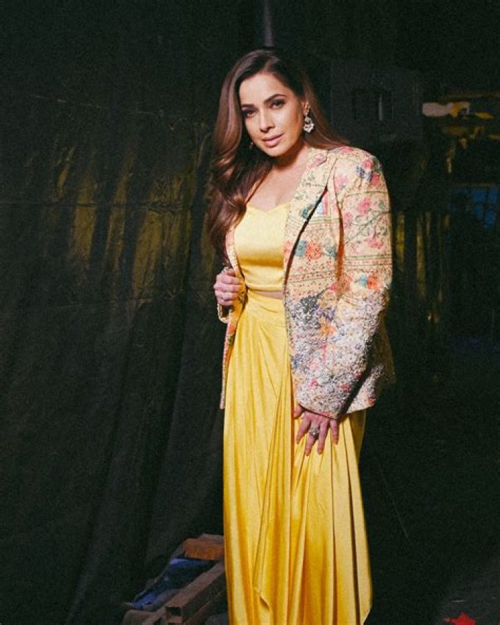 Neelam Kothari Net Worth 2024