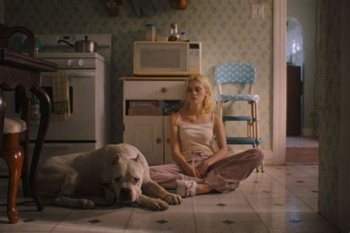 Nicola Peltz Phone Number, WhatsApp Number Contact Number Mobile 