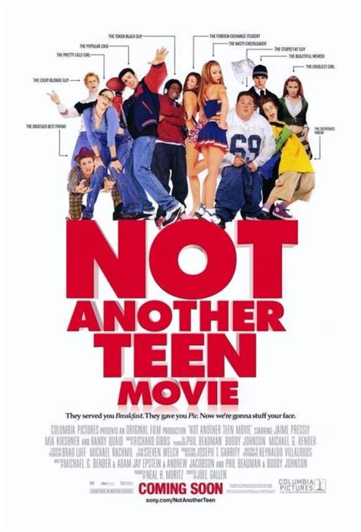 Not Another Teen Movie Cast Net Worth – Richest Cast Members Salary
