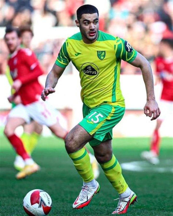 Ozgur Ozan Net Worth