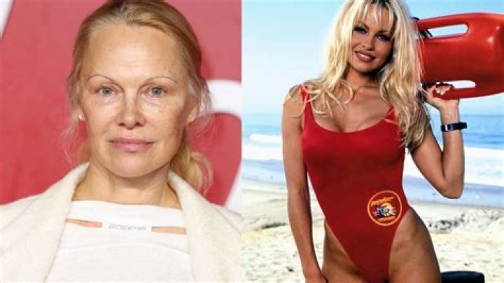 'Playboy' Model and 'Baywatch' Actor Pamela Anderson Has a Very Impressive Net Worth