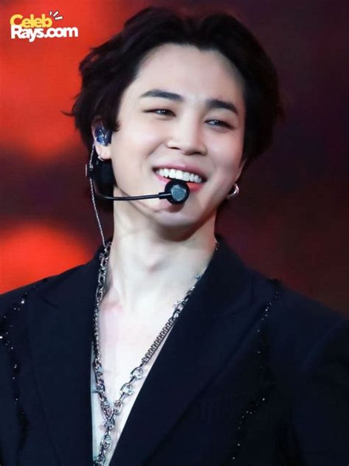 Park Ji-min Net Worth