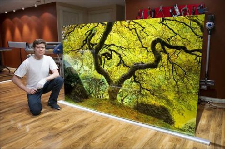 Peter Lik Net Worth 2024