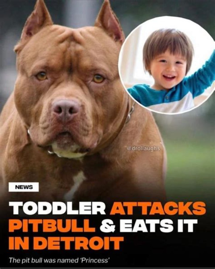 Rapper Pitbull’s Daughter Destiny Perez is all Grown Up and Stylish