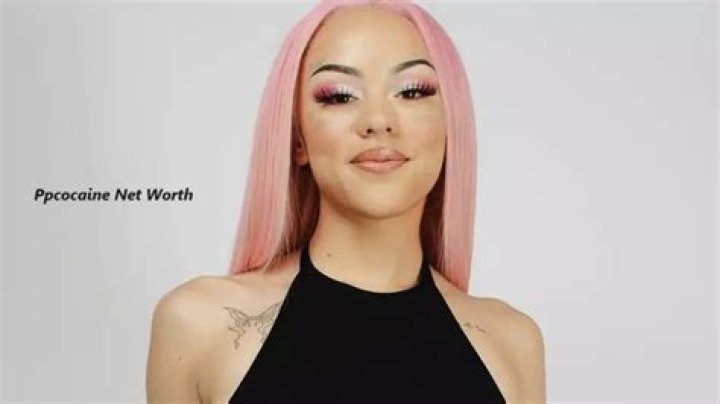 Ppcocaine Net Worth 2024