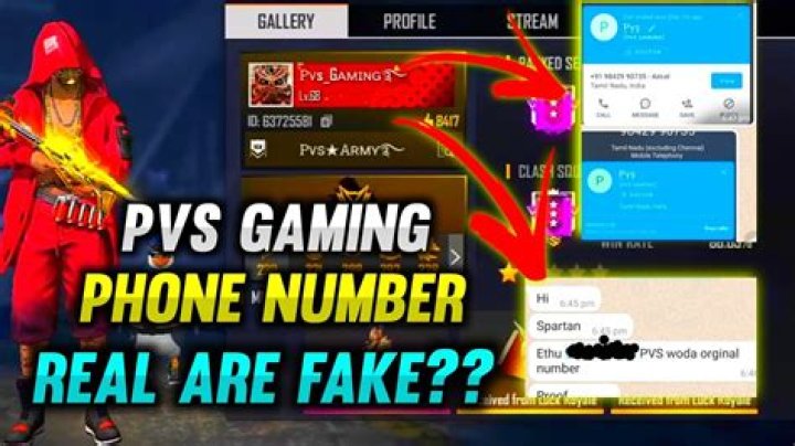PVS Gaming Phone Number WhatsApp Number Contact Mobile
