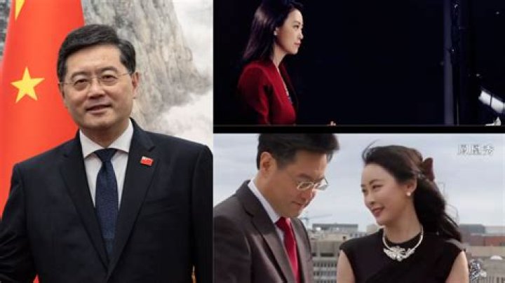 Qin Gang Family: Is His Wife Fu Xiaotian? Son Details