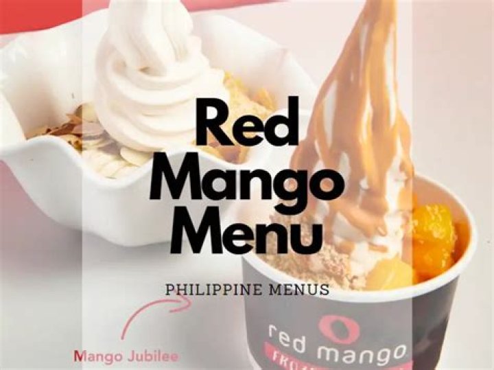 Red Mango Cafe Juice Bar Franchise Cost – Red Mango Cafe Juice Bar Startup Costs