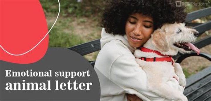 Restaurant Won't Allow Emotional Support Animals Because They're Not Trained for Service