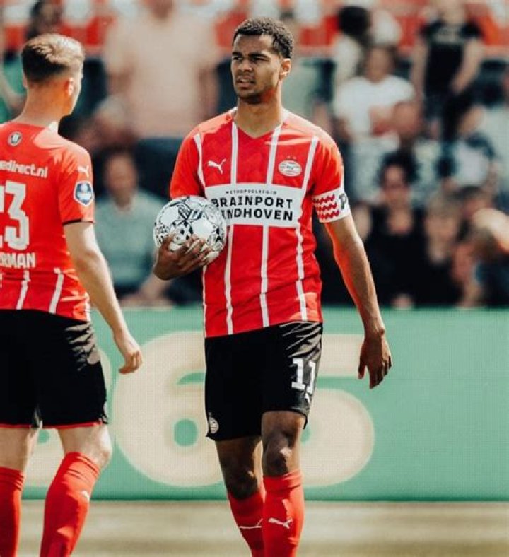 Ruud Zwaan Net Worth