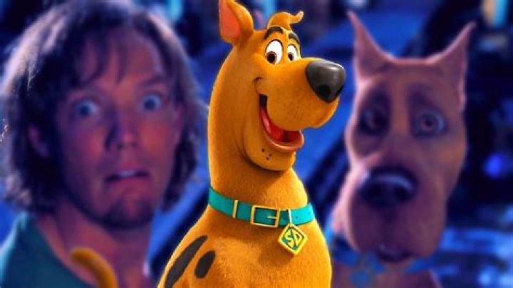 The Cast of the 'Scooby Doo' Movie Then and Now