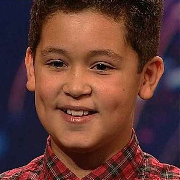 Shaheen Jafargholi – Biography, Facts & Life Story