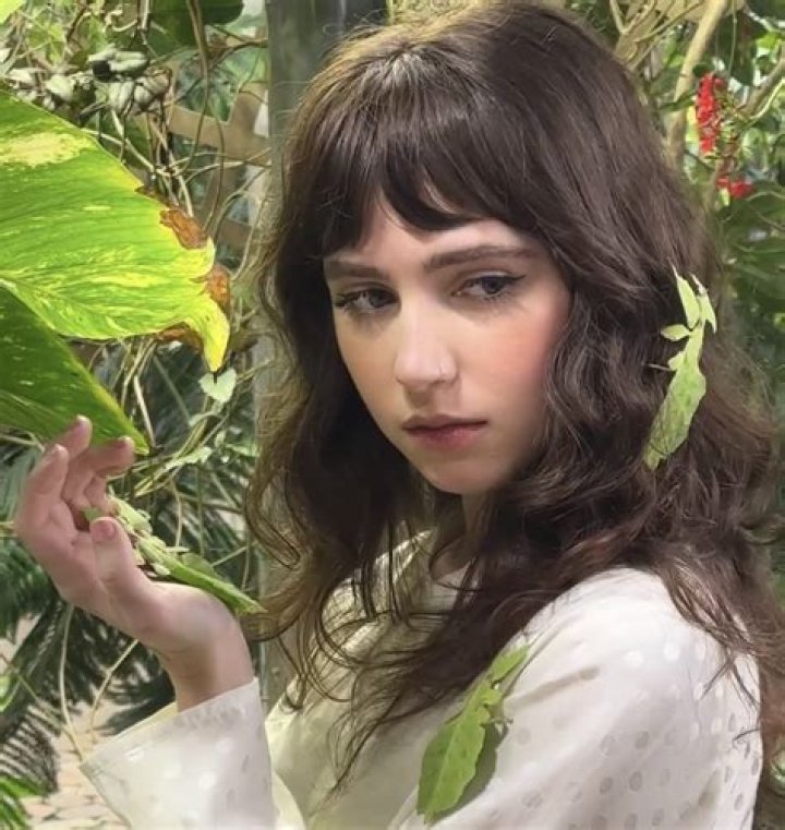 Shea Smeltzer Net Worth