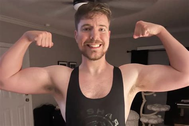 Shippiddge Net Worth